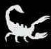 Scorpion -  3 Layer Stencil 5 pack