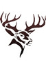 A-160 Deer Head