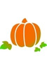 HRV- Pumkn2 Regular Pumpkin