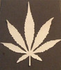 Marijuana -  2 Layer Stencil Box 12