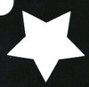 Star -  2 Layer Stencil Box 10