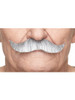 Mustache- Grey