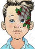 Christmas Plaid Face Paint Photo