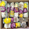 White Sage, Green Rose Petals, & Colorful Paper Flowers 4" Smudge Bundle