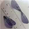 Purple Dragonfly Wings 20ct