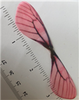 Pink/Black Dragonfly Wings 20ct