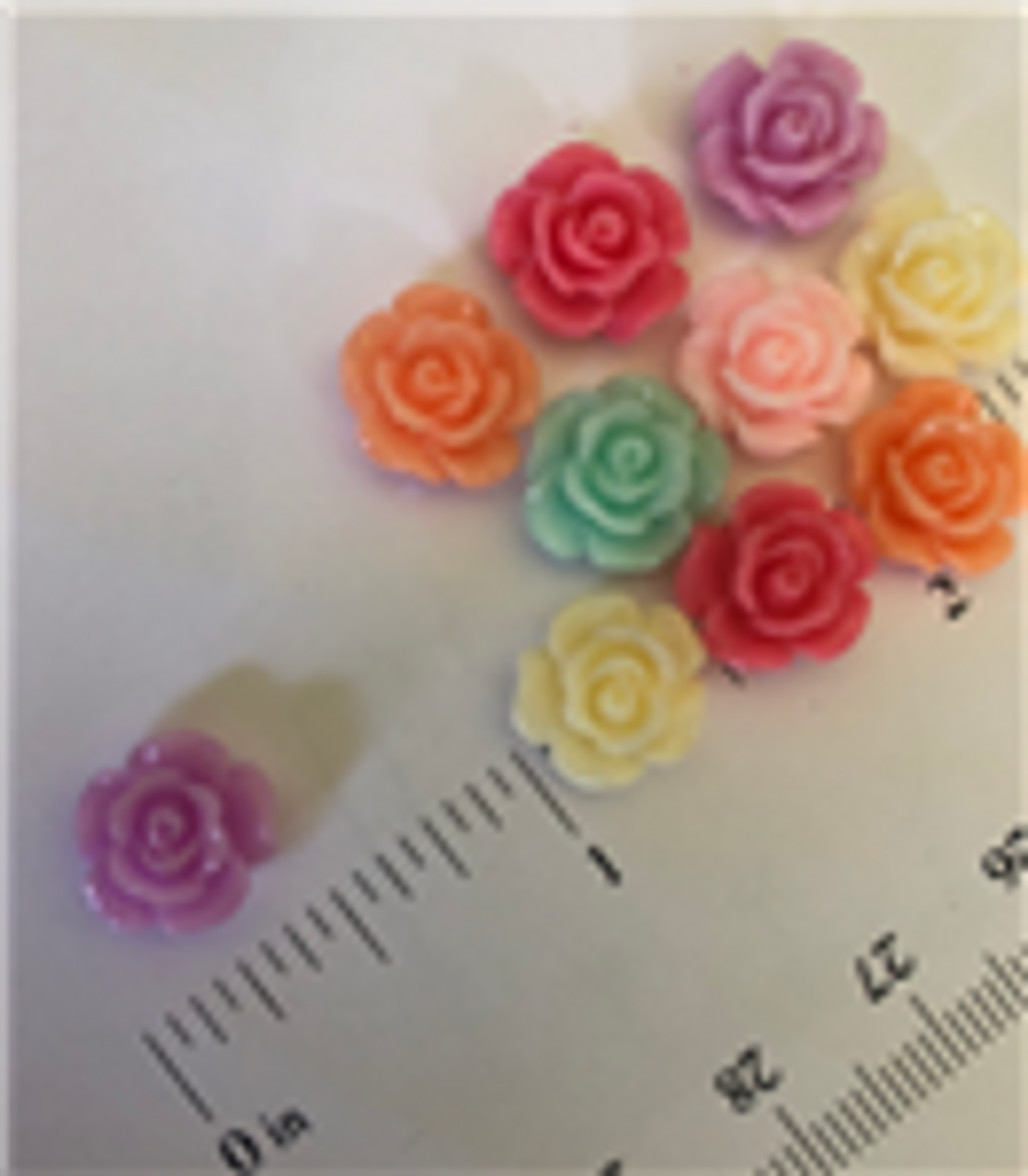 Mixed Medium Roses 30ct