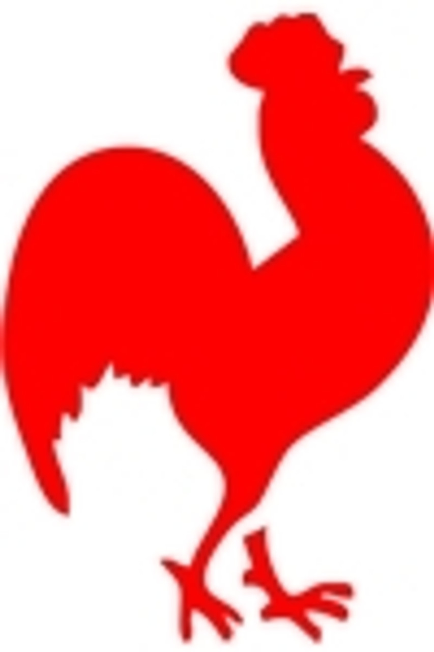 H-4139 Rooster