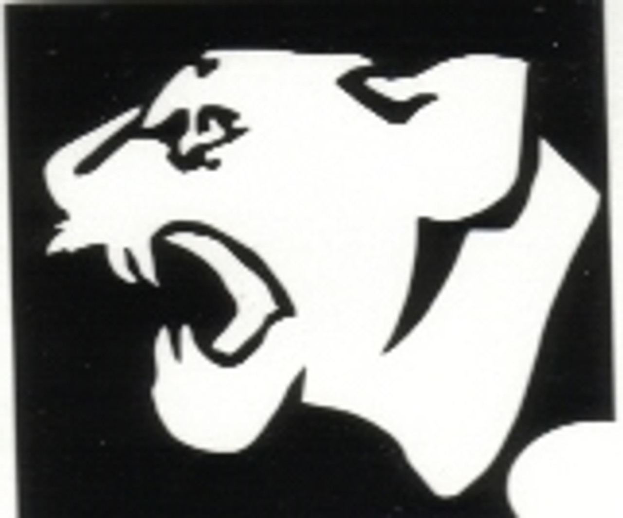 Cougar Head 2 Layer Stencil Box 40
