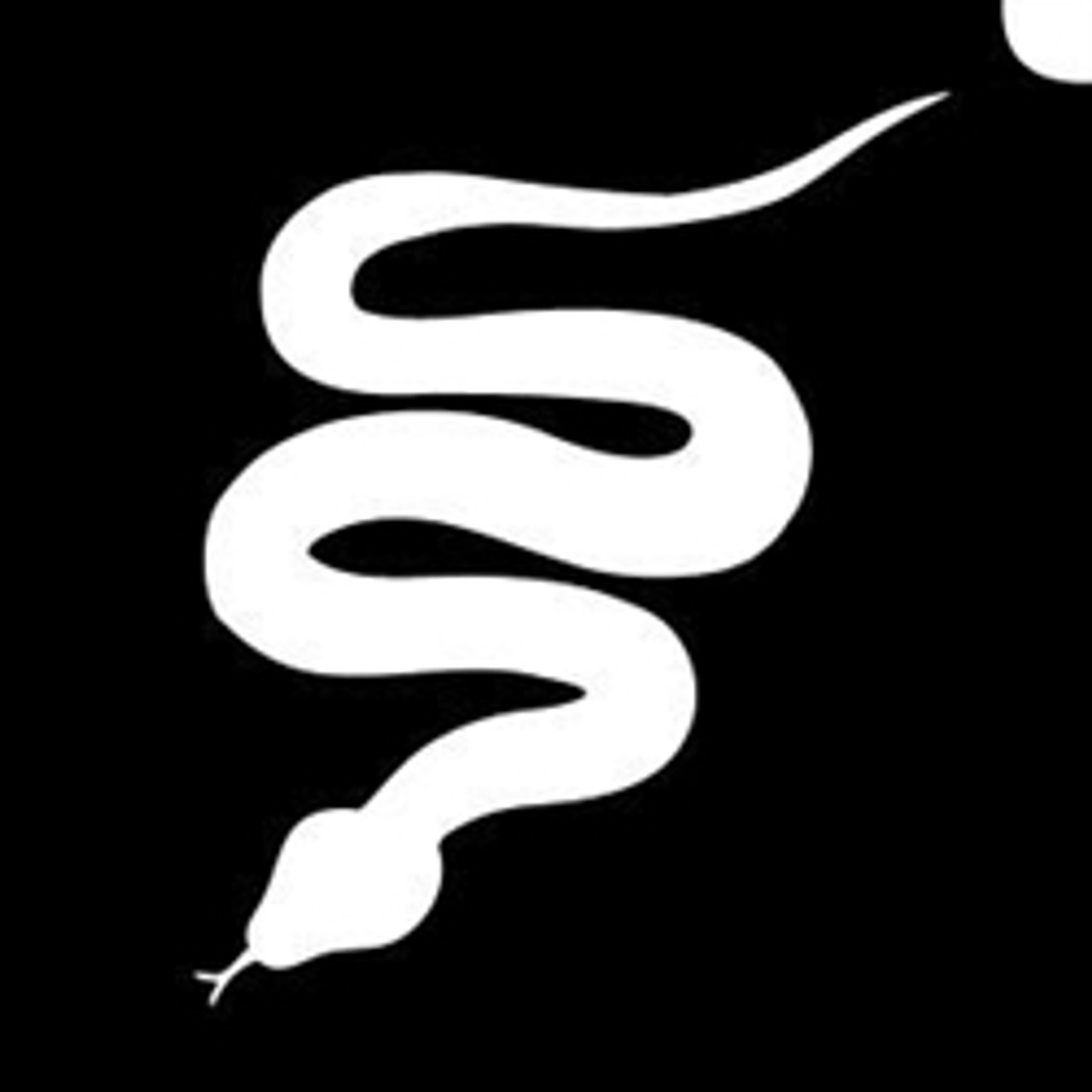Snake - 2 Layer Stencil Box 8