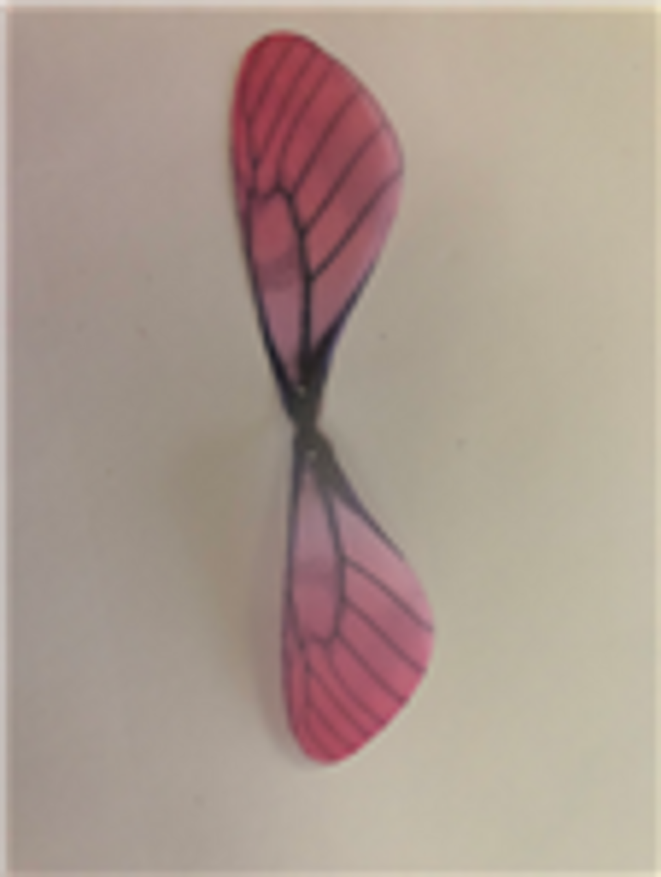 Deep Fuschia Dragonfly Wings 20ct