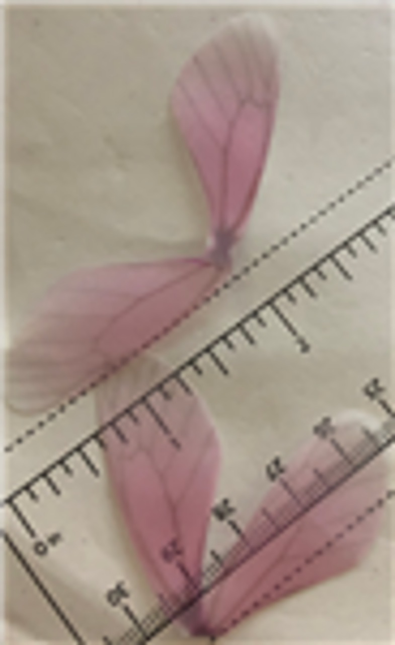 Light Pink Dragonfly Wings 20ct