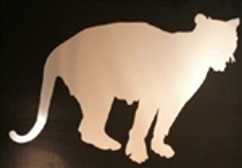 Cat acrylic mirror