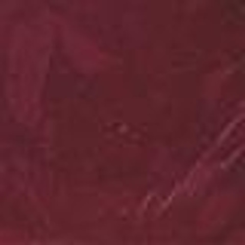 Wild Grape - Ruby Red Paint - 18ml