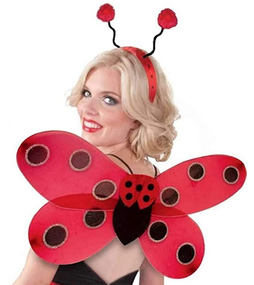 Deluxe Lady Bug Kit