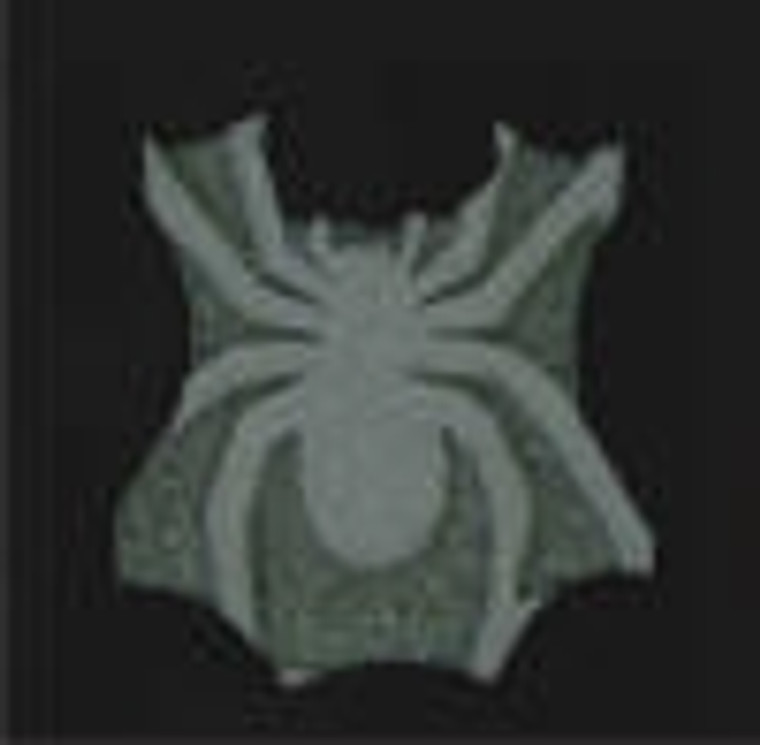 Spider Foam Stamp