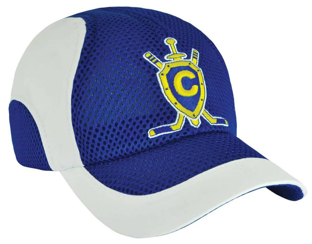 A blue and white cap with a mesh design and an embroidered logo featuring a shield and crossed sticks.