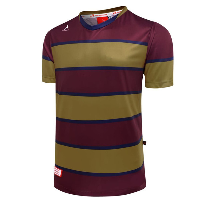 A short-sleeved striped tee in maroon and olive green with a logo and tags visible.