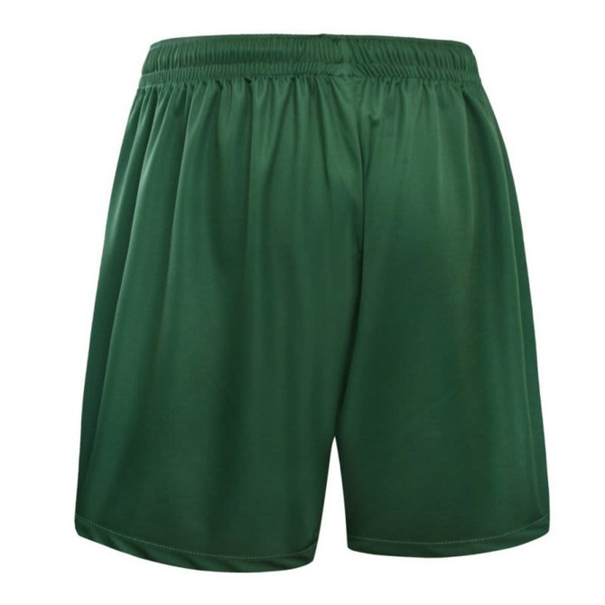 Green shorts featuring an elastic waistband and a smooth, glossy finish. The item includes a logo.