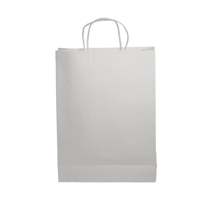A plain white paper bag with handles and a flat base, featuring a simple design and an included logo.