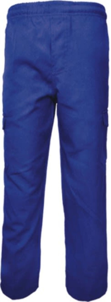 Blue cargo pants featuring side pockets and an elastic waistband, suitable for kids. Includes a logo on the garment.