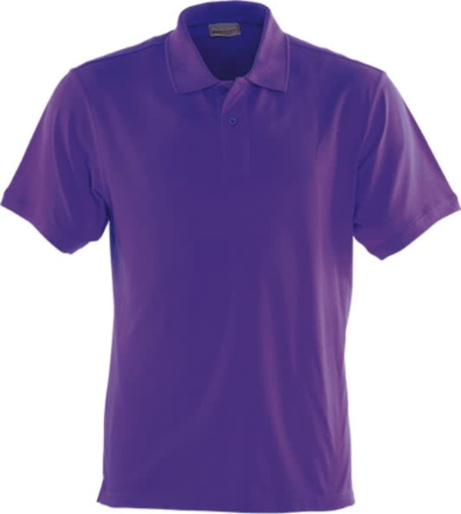 A purple polo shirt with a classic design featuring a collar and short sleeves. It has a logo on the upper left side.