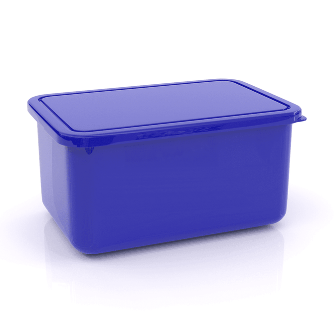 A large blue lunch box with a fitted lid and a smooth surface, featuring a branding logo.