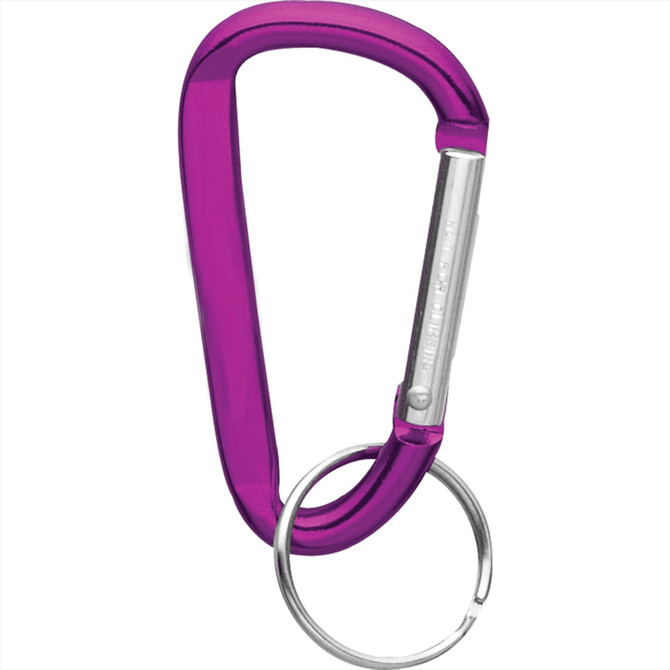 A purple carabiner keyring with a silver keyring attachment and a metallic finish. It includes a logo.