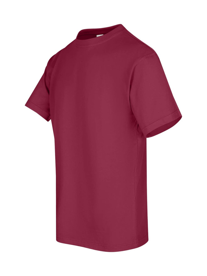A maroon unisex regular T-shirt with a classic round neck and short sleeves. It includes a logo but no visible text.