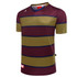 A short-sleeved striped tee in maroon and olive green with a logo and tags visible.