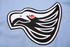 A light blue fabric featuring a prominent embroidered black and white eagle design with red detailing.