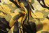 A close-up of fabric featuring a yellow and black camouflage pattern with natural motifs.
