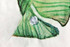 A close-up of a button on a fabric featuring a green and white fish design, with a faint background.
