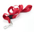 A red 19mm custom lanyard with a metal clip and a plastic buckle. It features a woven texture and a logo.