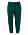Track pants in teal green featuring an elastic waistband and a drawstring; includes branding.