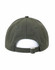 A green unstructured cotton twill cap featuring a curved brim and adjustable strap at the back.