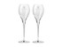 A set of two clear glass flutes with etched branding, featuring elegant stems and a sleek design.