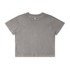 A heavy crop tee in stone wash grey with a classic crew neckline and short sleeves. It features a simple design without embellishments.