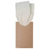 A box of Bamboo Tissues with two tissues partially pulled out from the top. The box has a simple brown exterior.