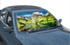 A sunshade featuring a scenic mountain and lake design, predominantly green and blue, with branding included.