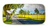A full-colour sunshade featuring a scenic landscape with trees and a road, predominantly in green and yellow tones.