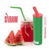 Straw Disposable Vape 3000 Puffs - 10 Pack