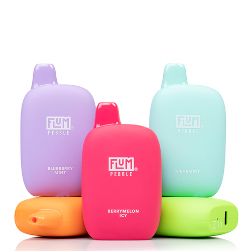 Flum Pebble Disposable Vape 6000 Puffs - 10 Pack