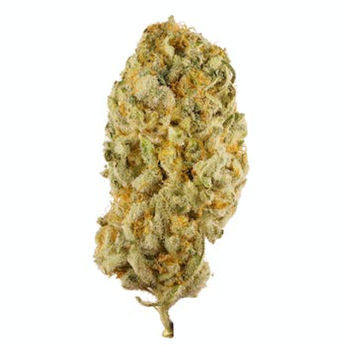 Jack Herer - THCA Flower