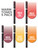 Chameleon Color Tones 5 Pen Set Alcohol Blending Gradient - Warm Colour Tones