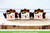 Lawn Fawn Tiny Gift Box Peacock And Turkey Add-On Custom Craft Dies