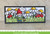 Lawn Fawn Slimline Tropical Leaves Border Custom Craft Dies