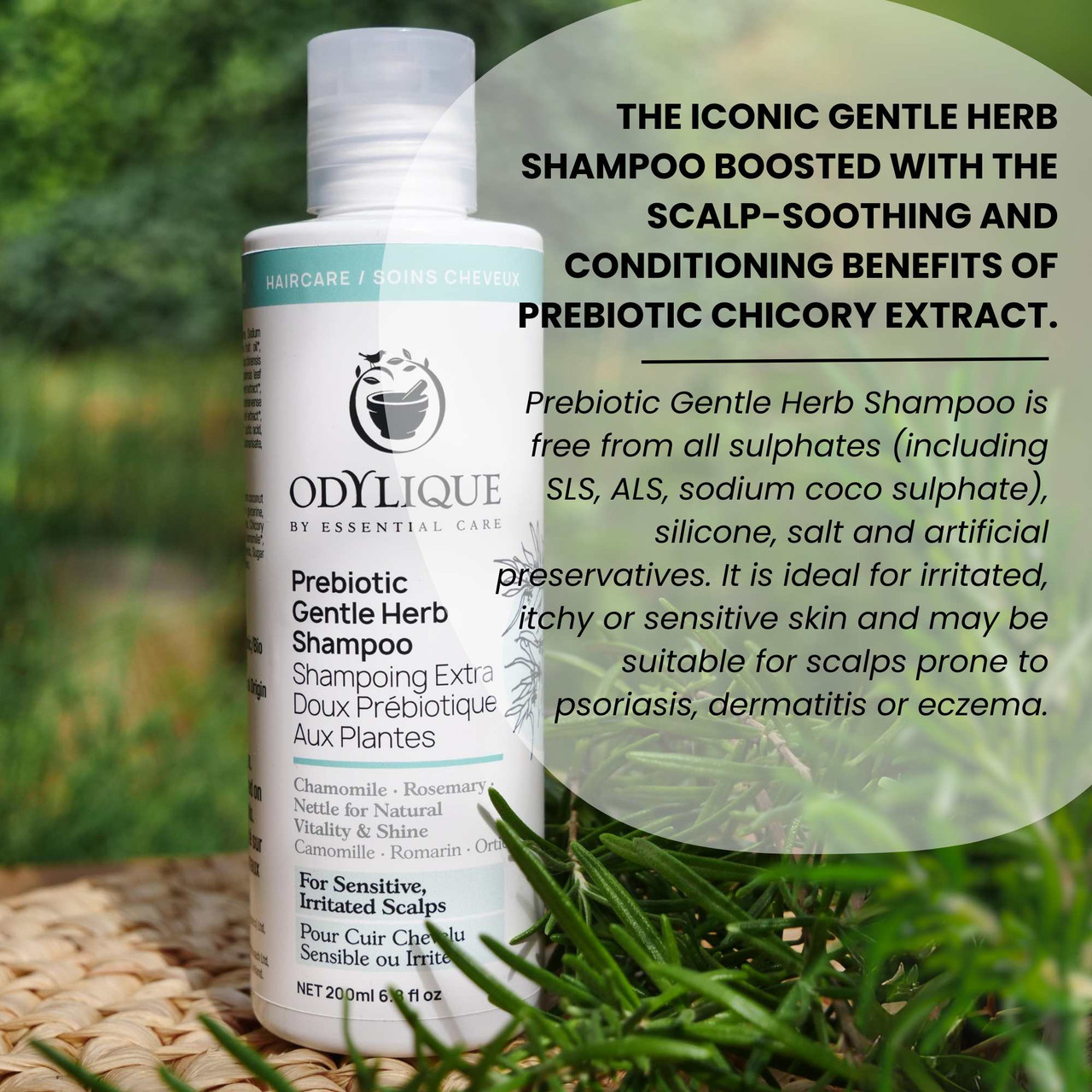 Prebiotic Shampoo | Odylique .COM | Hypoallergenic Shampoo For