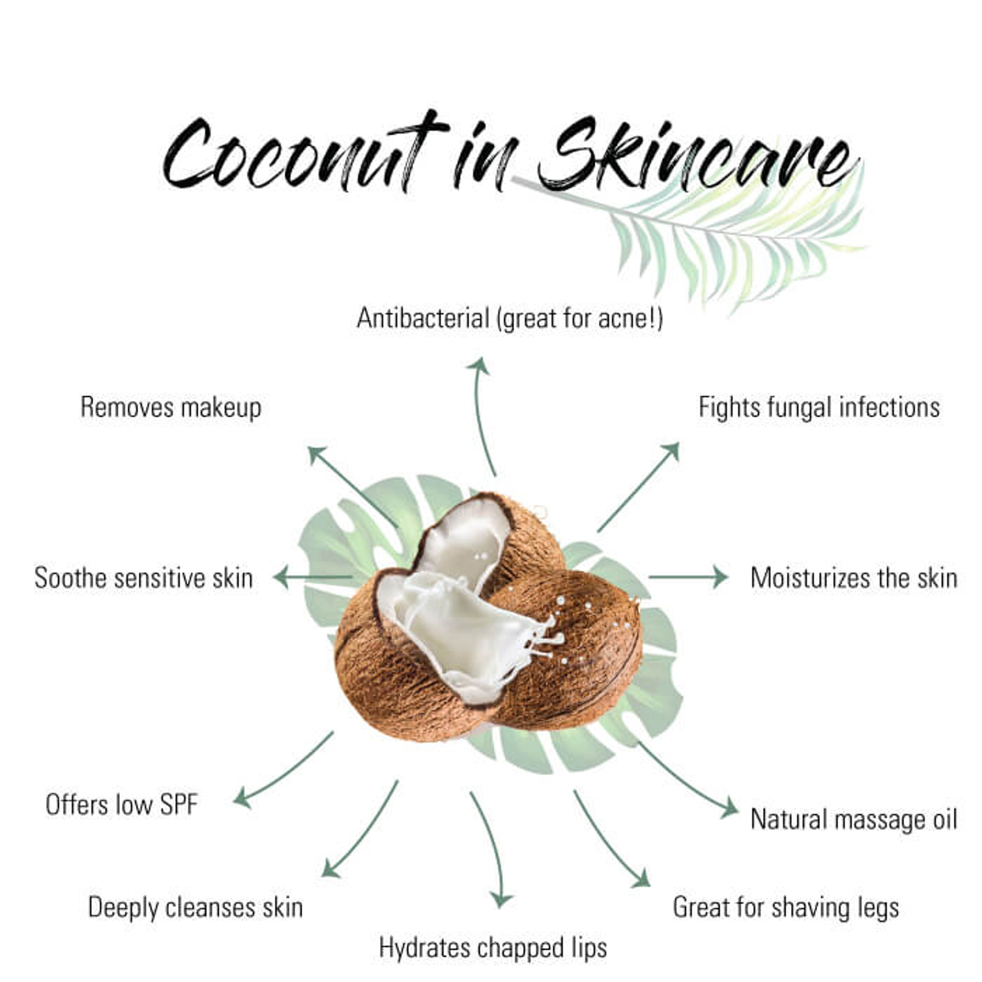 Do You Have A Coconut Allergy? Find Out Here! Odylique North America