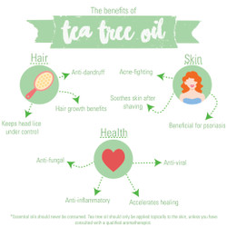 The Benefits Of Tea Tree Oil (And How It Can Help You!)